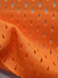 17800 شبكة بطانة Inoue Knit صور إضافية