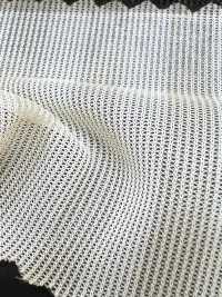 SS4049S شريط ظلي[نسيج / قماش] Inoue Knit صور إضافية