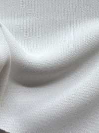 UV-1188A حياكة إنترلوك دائرية PE 75d[Textile / Fabric] Inoue Knit صور إضافية