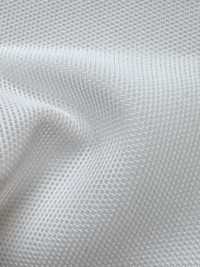 AP82220 شبك مرن قوي[بطانة] Inoue Knit صور إضافية