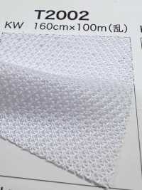 T2002 شبك ساتان[بطانة] Inoue Knit صور إضافية