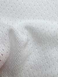 PPM-2 شبكة PP[Lining] Inoue Knit صور إضافية