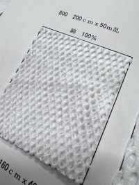 800 شبكة قطنية[Lining] Inoue Knit صور إضافية
