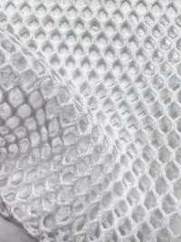 T800 شبك T/C[بطانة] Inoue Knit صور إضافية