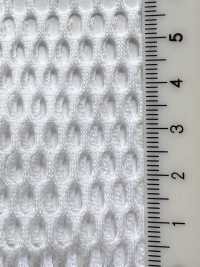 T750 شبك T/C[بطانة] Inoue Knit صور إضافية