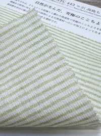 KYC443-2 بيكيه بخطوط أفقية مصبوغ بالخيط بمزيج كتان Takashima Chijimi[نسيج / قماش] Uni Textile (Komon Kobo) صور إضافية