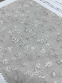 KYC545-1 جاكار قطن 40 مصبوغ بالخيوط[Textile / Fabric] Uni Textile (Komon Kobo) صور إضافية