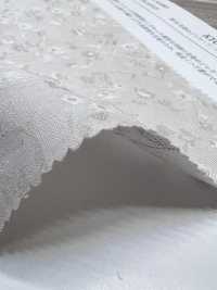 KYC545-1 جاكار قطن 40 مصبوغ بالخيوط[Textile / Fabric] Uni Textile (Komon Kobo) صور إضافية