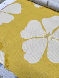 KYC814-2 جاكار T/C مقصوص مصبوغ بالخيوط[Textile / Fabric] Uni Textile (Komon Kobo) صور إضافية