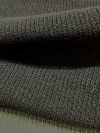 1078651 ALBINI RETWIST Spandex TERECO قماش ريب[نسيج / قماش] Takisada صور إضافية