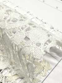 72903 Tamasukasu Neo[Textile / Fabric] Parica صور إضافية