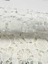 72903 Tamasukasu Neo[Textile / Fabric] Parica صور إضافية