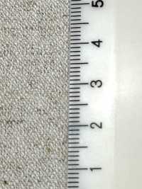 A-8127 قطن وكتان أمونزن[Textile / Fabric] Arinobe Shoten صور إضافية