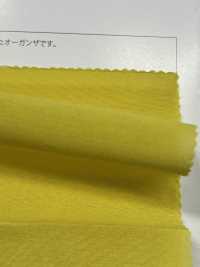 OG1810 Canon أورجانزا[نسيج / قماش] Suncorona Oda صور إضافية
