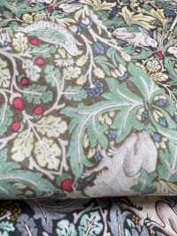 AF-1110-2 لاون 80 Brothers Rabbits[Textile / Fabric] HOKKOH صور إضافية