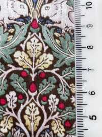 AF-1110-2 لاون 80 Brothers Rabbits[Textile / Fabric] HOKKOH صور إضافية