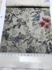 7027-710-3 CL Sheeting زهور نباتية[Textile / Fabric] HOKKOH صور إضافية