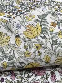 4027-670-3 Rakuron نقش نباتي نباتي[Textile / Fabric] HOKKOH صور إضافية