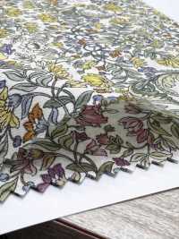 4027-670-3 Rakuron نقش نباتي نباتي[Textile / Fabric] HOKKOH صور إضافية