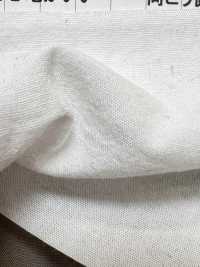 KINANADAKI-11 KINANADAKI 11 Lovely Koumicchan بتشطيب مريح[Textile / Fabric] KOMATSUWA TEXTILE صور إضافية