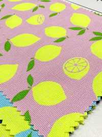 AP65103 أوكسفورد بطباعة فلورية (رول)[Textile / Fabric] COSMO TEXTILE صور إضافية