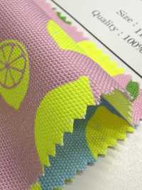 AP65103 أوكسفورد بطباعة فلورية (رول)[Textile / Fabric] COSMO TEXTILE صور إضافية