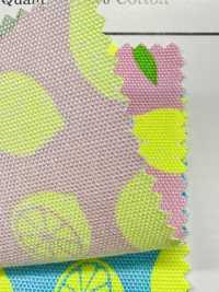 AP65103 أوكسفورد بطباعة فلورية (رول)[Textile / Fabric] COSMO TEXTILE صور إضافية