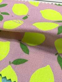 AP65103 أوكسفورد بطباعة فلورية (رول)[Textile / Fabric] COSMO TEXTILE صور إضافية