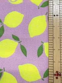 AP65103 أوكسفورد بطباعة فلورية (رول)[Textile / Fabric] COSMO TEXTILE صور إضافية