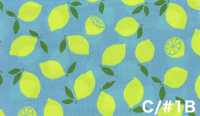 AP65103 أوكسفورد بطباعة فلورية (رول)[Textile / Fabric] COSMO TEXTILE صور إضافية