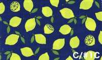 AP65103 أوكسفورد بطباعة فلورية (رول)[Textile / Fabric] COSMO TEXTILE صور إضافية