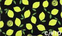 AP65103 أوكسفورد بطباعة فلورية (رول)[Textile / Fabric] COSMO TEXTILE صور إضافية