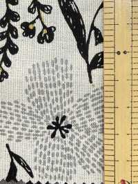 AP65902 شيتينغ بطباعة نباتية C/L (رول)[Textile / Fabric] COSMO TEXTILE صور إضافية