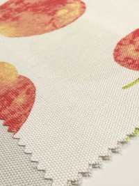 SP2650 فروتس غاردن أوكسفورد (رول)[Textile / Fabric] COSMO TEXTILE صور إضافية