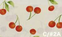 SP2650 فروتس غاردن أوكسفورد (رول)[Textile / Fabric] COSMO TEXTILE صور إضافية