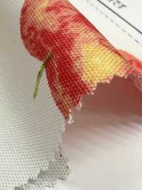 SP2650 فروتس غاردن أوكسفورد (رول)[Textile / Fabric] COSMO TEXTILE صور إضافية