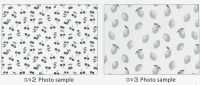 SP2650 فروتس غاردن أوكسفورد (رول)[Textile / Fabric] COSMO TEXTILE صور إضافية