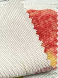 SP2650 فروتس غاردن أوكسفورد (رول)[Textile / Fabric] COSMO TEXTILE صور إضافية