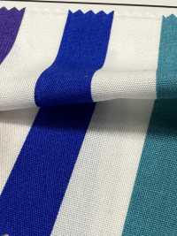 SP6400 برودكلوث بطبعة مخططة (رول)[Textile / Fabric] COSMO TEXTILE صور إضافية