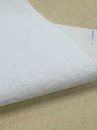 BD6940-P 60 قطن Supima × نيلون تايب رايتر Omi PFD[Textile / Fabric] COSMO TEXTILE صور إضافية