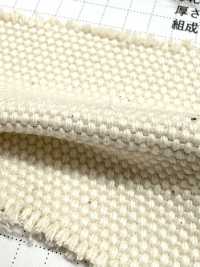 FKB02 Fujikinbai كانفاس قطن رقم 2، جريج[Textile / Fabric] Fujikinbai صور إضافية