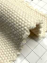 FKB06 Fujikinbai كانفاس قطني رقم 6، جريج[Textile / Fabric] Fujikinbai صور إضافية