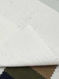 PSW4031H قماش طقس عالي النمرة من القطن/القنب[نسيج / قماش] KOYAMA صور إضافية