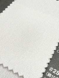 2500-1 Fujikinbai قطن 10/8 OX للطباعة[Textile / Fabric] Fujikinbai صور إضافية