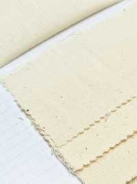 2300 شيتنج متوسط الوزن منهي بالبخار للبدل والمعاطف[Sheeting] Tokai Textile صور إضافية