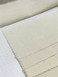 3000 قماش شيتينغ خفيف الوزن للفساتين والبدلات[قماش الشيتينغ] Tokai Textile صور إضافية