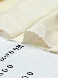 6000 شيتينغ خفيف الوزن (مغلي ومزال منه التطييب) للبلوزات والفساتين والبدلات[Sheeting] Tokai Textile صور إضافية