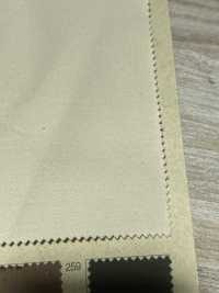 BD2589 ساتان مطاطي خوخي[Textile / Fabric] COSMO TEXTILE صور إضافية