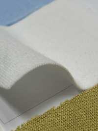 C400 ريب دائري مغزول من القطن 40-count[Rib Knit] TAKENAKA CORPORATION صور إضافية