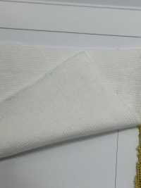 C400 ريب دائري مغزول من القطن 40-count[Rib Knit] TAKENAKA CORPORATION صور إضافية